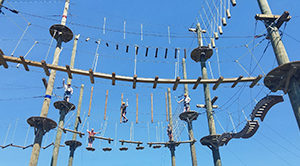 Image of crossing elements in PA ropes course