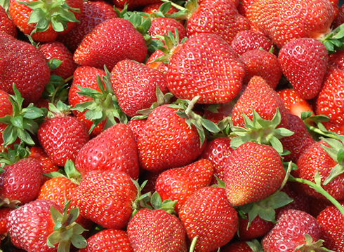 Strawberries1