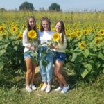 sunflower girls3