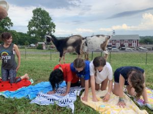 Goat on three people at yoga class