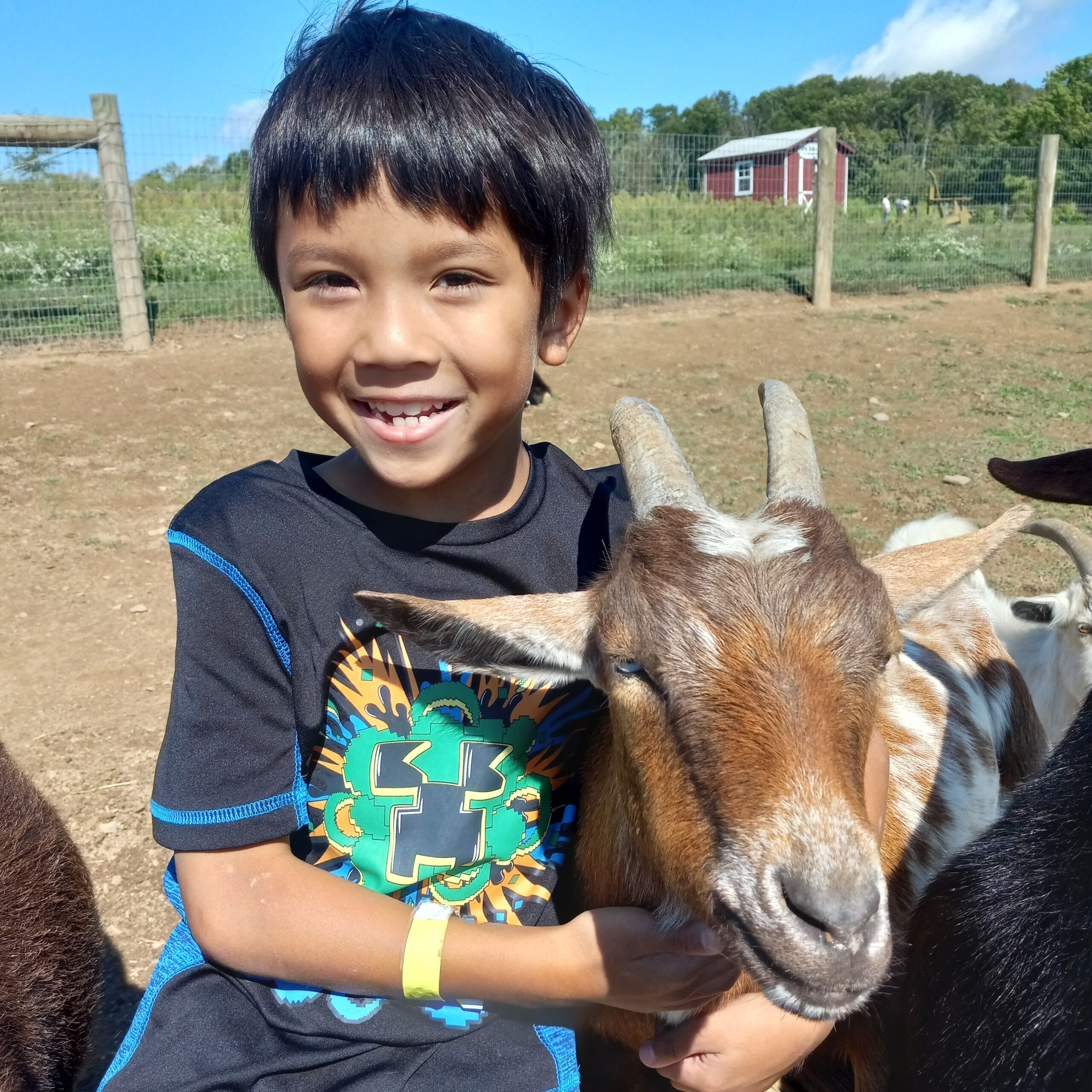 Bucks County child hugging goat