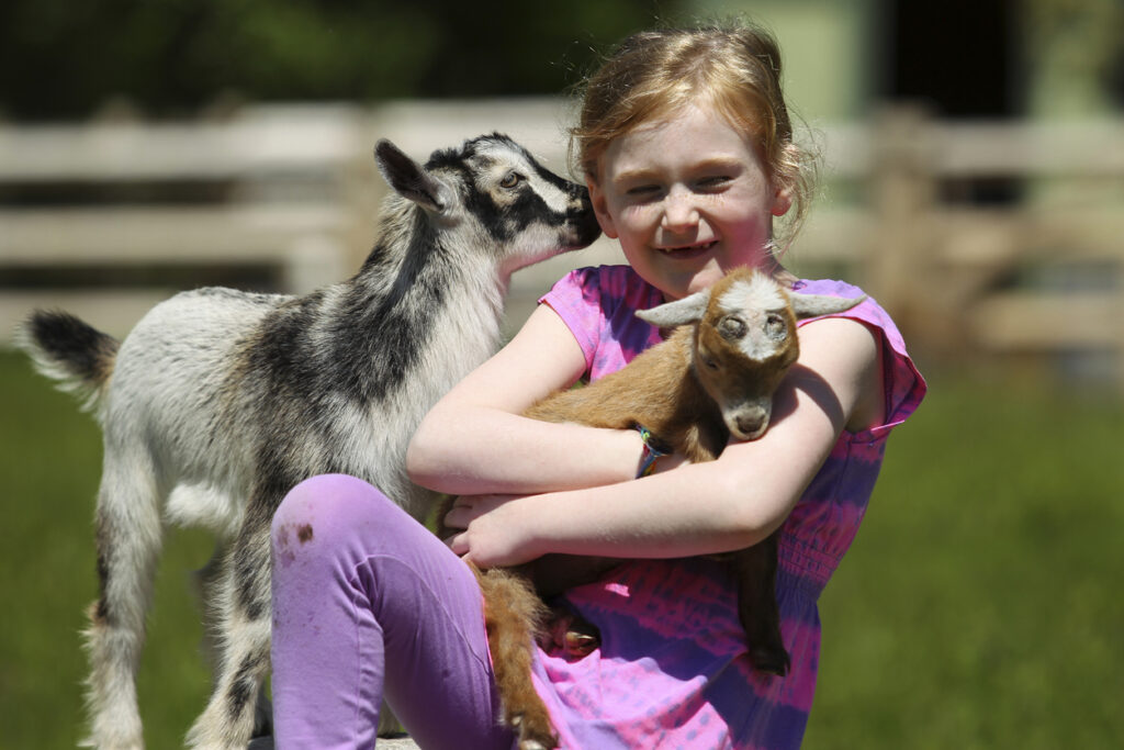 Children and their parents love Hellerick's Family Farm in Doylestown, PA.