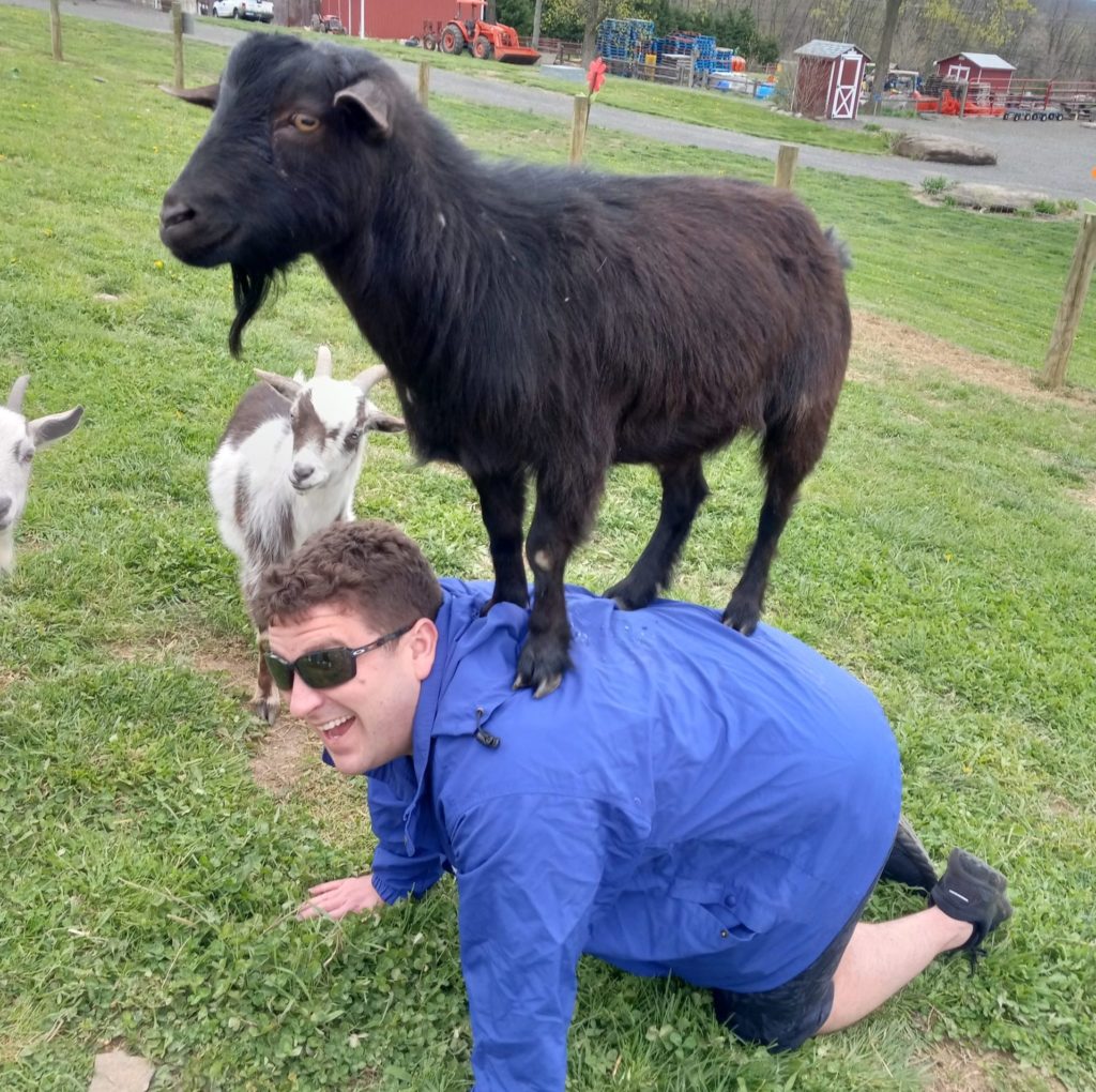 Man in Bucks County, PA enjoying a goat yoga class in Doylestown, PA