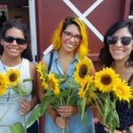 sunflower 3 girls
