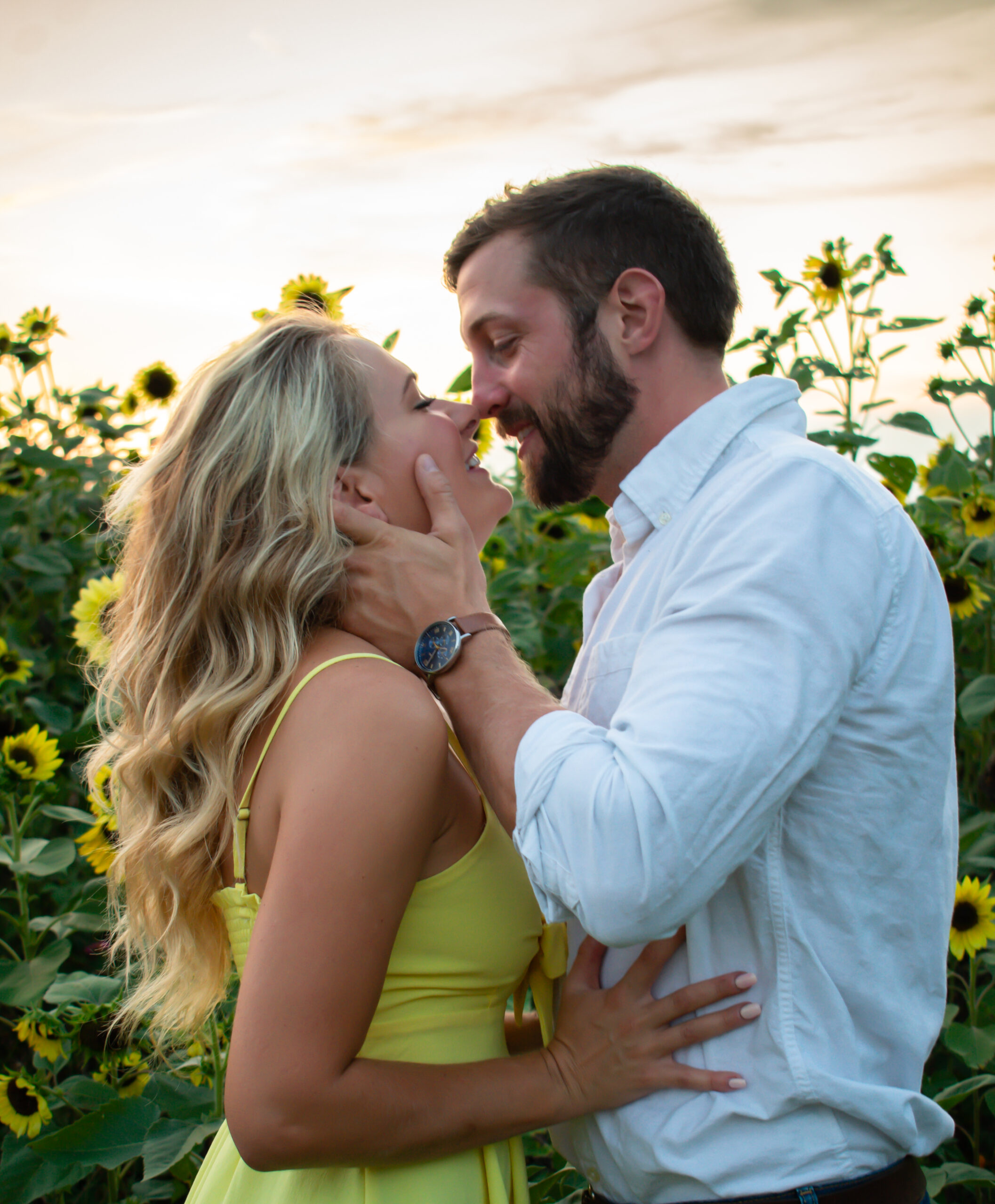 Couple kissing in sunflower field