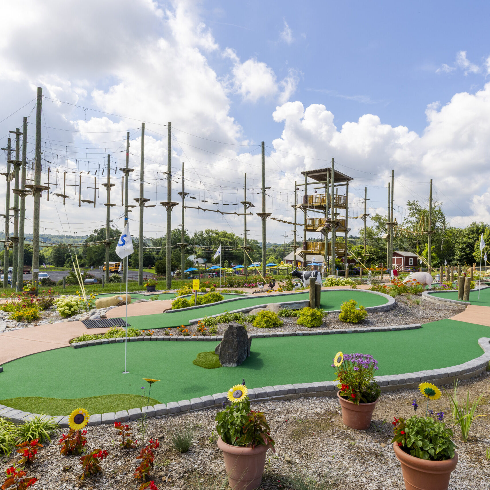 Mini Golf