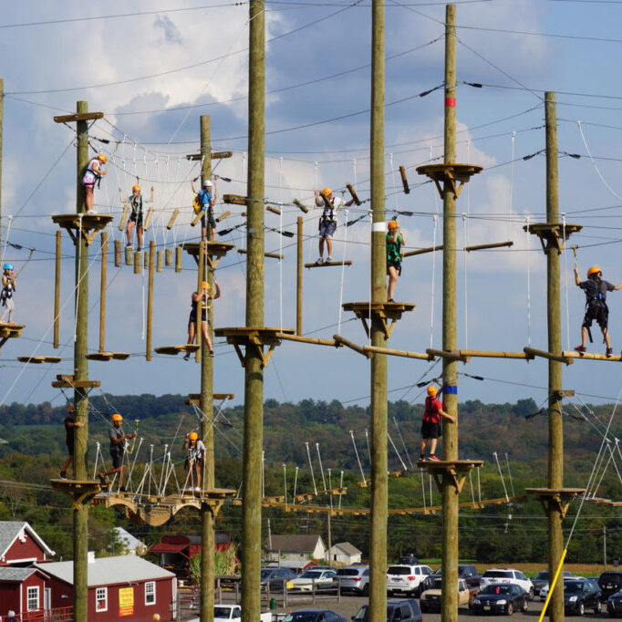 Wide shot of Aerial Adventure Ropes Course with people actively on it